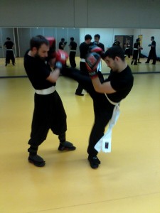 hunggarnancy-artsmartiaux-wushu-kungfu-entrainement-combat-5janvier2015-17      